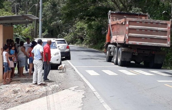 Los camiones transitan a altas velocidades.