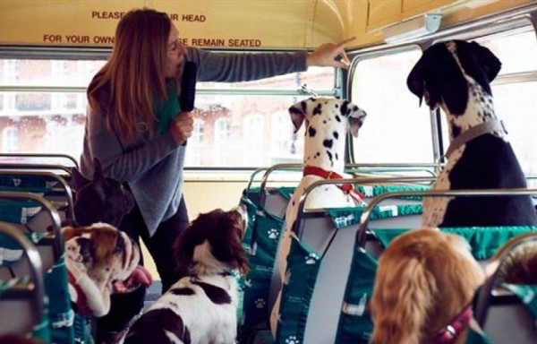 ‘Vida perruna para que no se acabe'