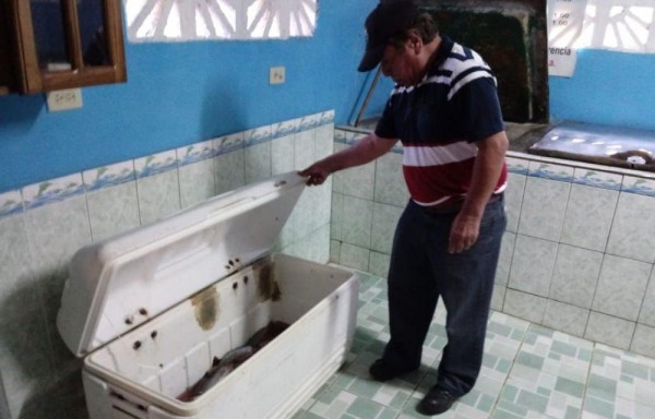 Se verificaron las neveras y alamacenaje de los peces.