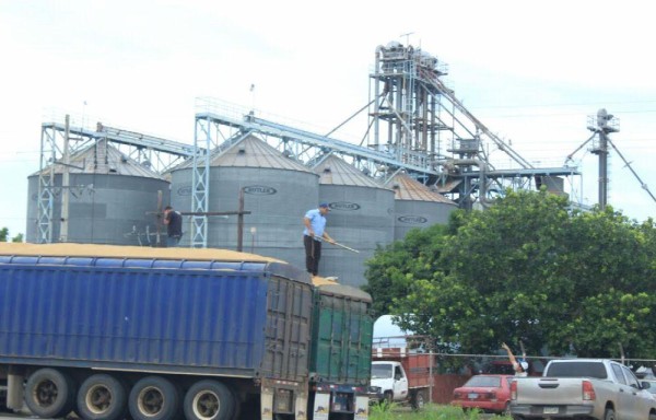 Los molinos están repletos.