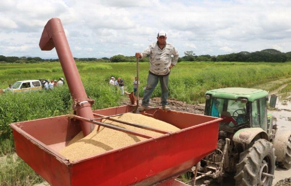 El Tratado de Promoción Comercial es tildado como ‘nefasto' por los productores nacionales.