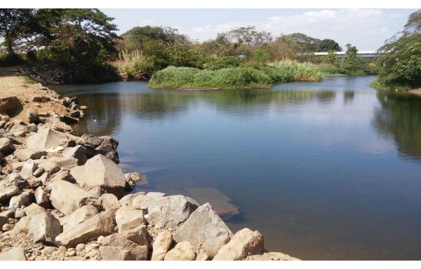 BAJO CAUDAL DEL AFLUENTE PREOCUPA | Pobladores y agricultores están preocupados ante la situación que presenta el río Chico ya que es uno de los principales afluentes de la provincia de Coclé, pues el mismo, alimenta la potabilizadora que brinda agua a Natá de Los caballeros y a Aguadulce. El nivel de cauce es alarmante puesto que bajó más que en años anteriores y hay tramos en la parte baja que no tiene agua, solo un hilo en su curso al mar.