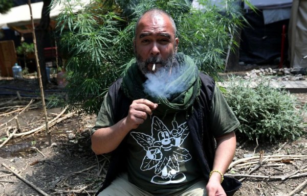 México, estancado en el camino hacia la legalización del cannabis