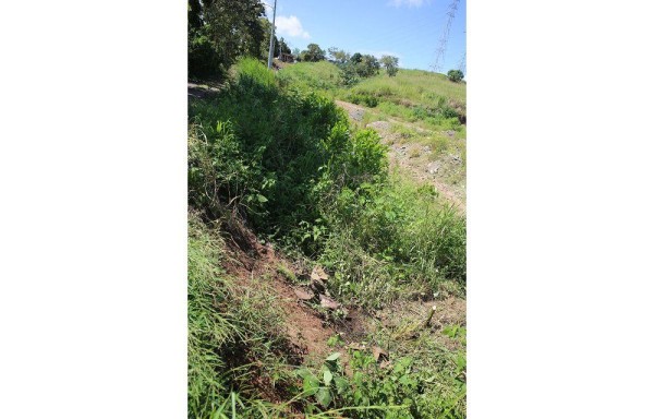 En este lugar fue hallado el cadáver de la joven.