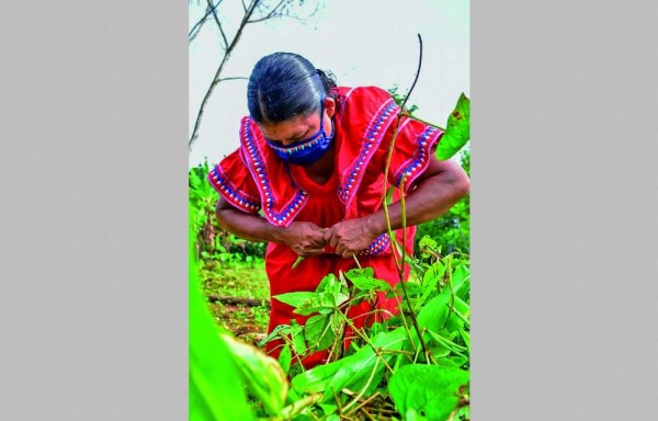 El proyecto arrancó desde abril.