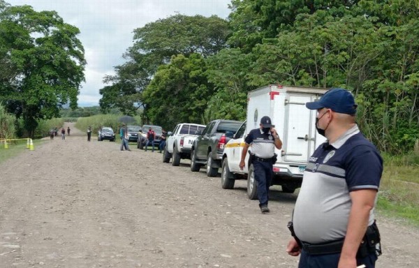 ¡Terrible! Un tractor le pasó por encima en cañaveral