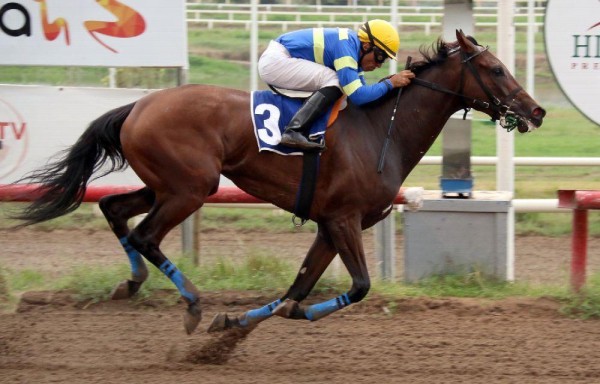 ‘Candy Sugar Lady' va por su undécima victoria en la pista.