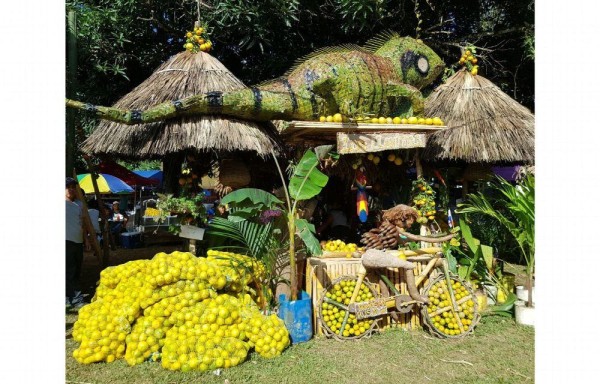 Hoy arranca la Feria de la Naranja