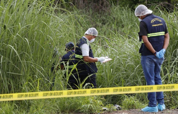 El cuerpo del hombre aún no lo han identificado, el taxi robado en Vista Alegre pudo ser usado para cometer el crimen.