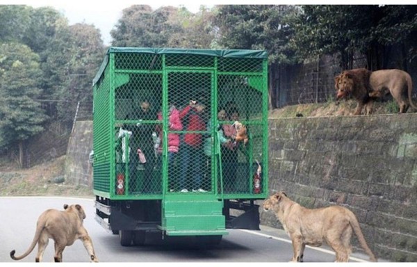 Encierran a visitantes en zoológico