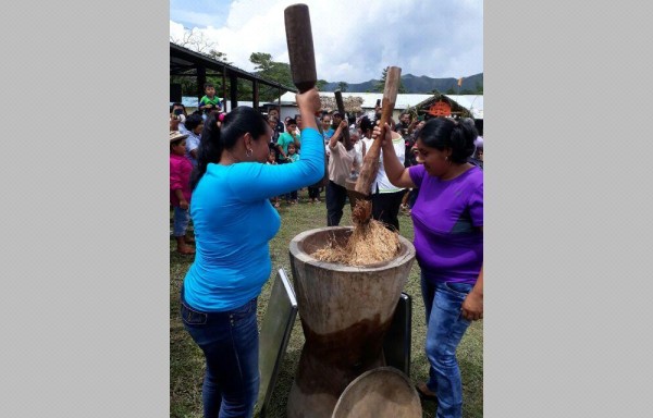 Estas actividades fueron realizadas en la escuela El Valle.