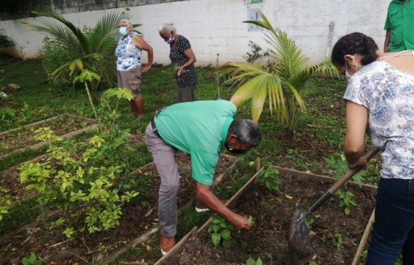 Los que participan en estos centros son evaluados y se le da un seguimiento.