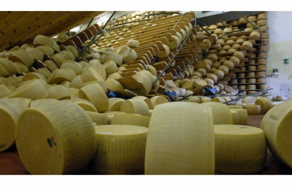 Productor italiano muere aplastado por una montaña de queso