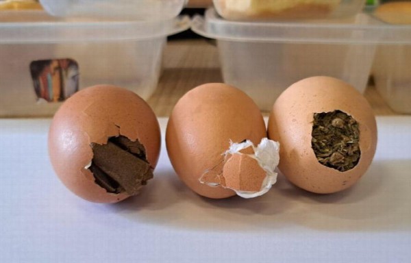 Camuflaron droga en huevos para presos en La Joya
