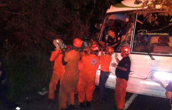 Árbol le cayó encima a un bus en Loma Cová
