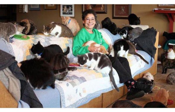 Vive con 1,100 gatos rescatados