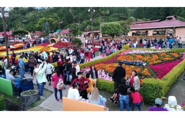 Refuerzan seguridad y se dispara la afluencia durante primer fin de semana de feria en Boquete