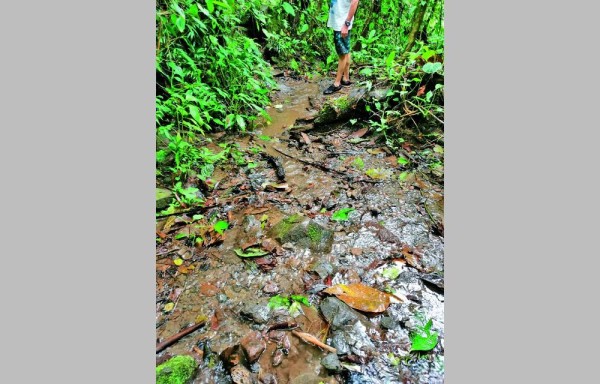 El trueno de muchas aguas