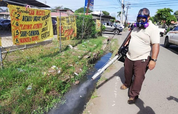 Se realizaron fumigaciones.