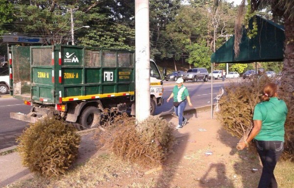 Hoy la AAUD continuará con el operativo de la recolección.