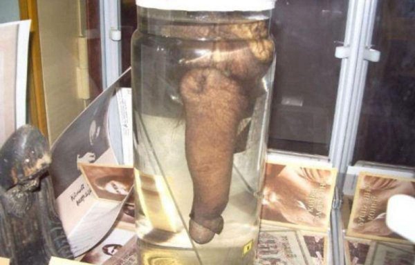 Conservan el pene de un místico