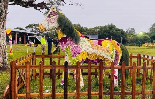 La naturaleza de Volcán encanta a visitantes