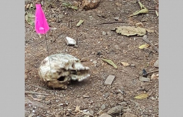 Cabeza hallada en el lugar