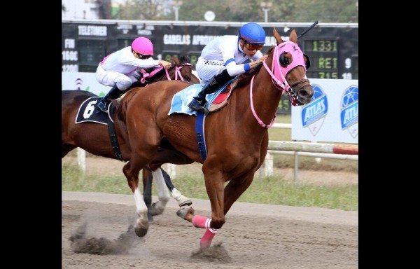 El aprendiz José Morelos, ganando con ‘Onur' la primera carrera del sábado 11 de febrero.