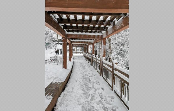 Purple mountain, Nanjing.