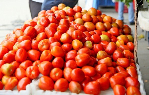 Son más los que se inclinan por la agroindustria.