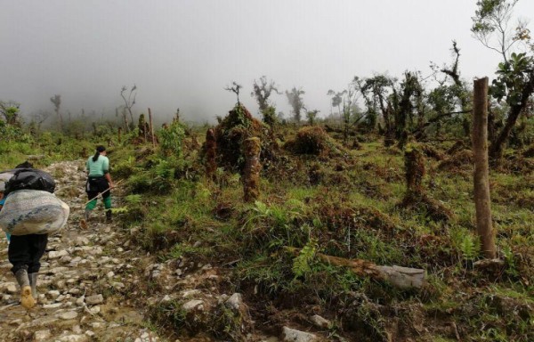 Camino de acceso hacia la escuela.
