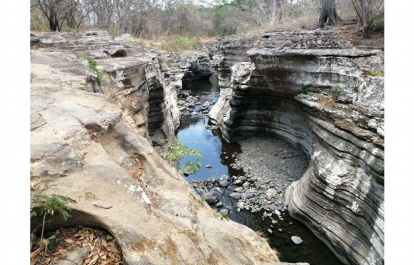 Las estructuras miden 8 metros de altura.