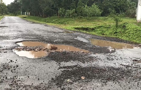 La Yeguada es la primera reserva forestal de país