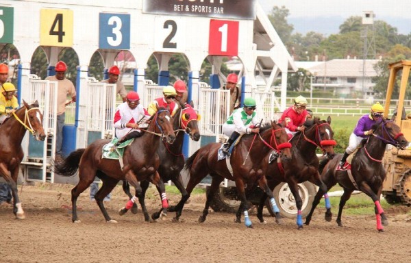 Hipódromo Presidente Remón con jornada vespertino-nocturna.