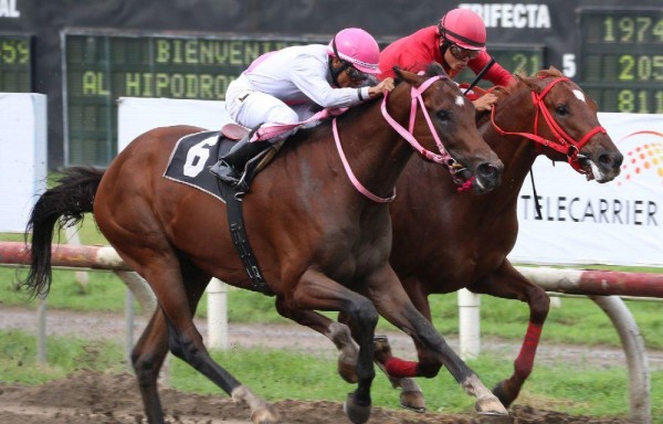 ‘Látigo' por dentro venció en su debut a ‘Leonidas'.