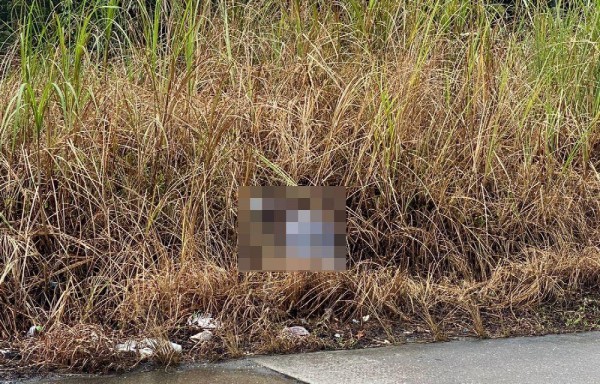 Una llamada anónima alertó a la Policía sobre el hallazgo