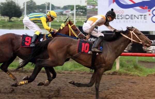 ‘Queen Pearl' con José A. Batista viene de ganar el Clásico Presidente de la República.