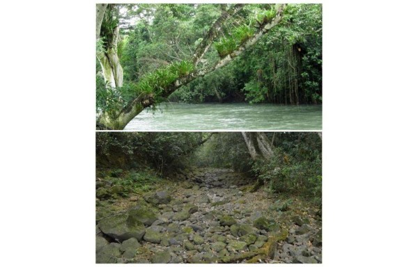 La tierra se tragó un río en Veracruz