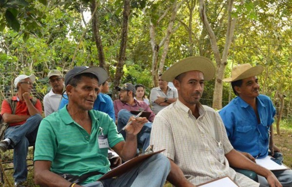 El taller fue organizado por el MIDA y la FAO.