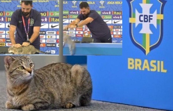 Oficial de prensa de Brasil lanzó el gato de forma violenta.