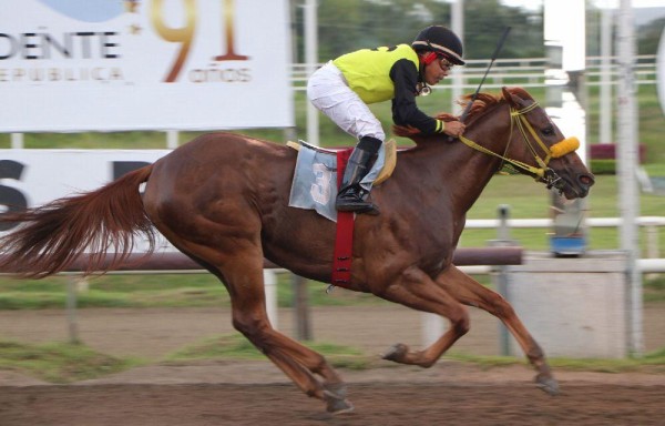 La hípica panameña sobrevive un año más