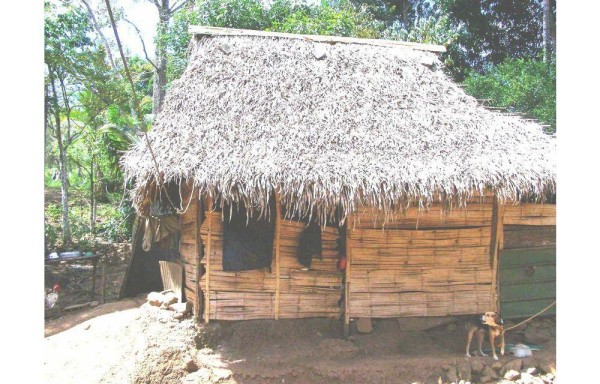 Se acaban los materiales para hacer las casas.