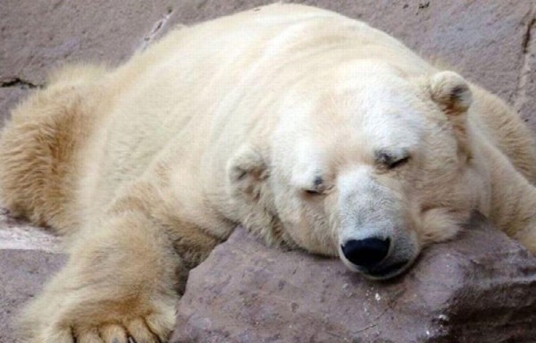 Arturo tenía 31 años de edad. llegó a los 8 a Argentina.