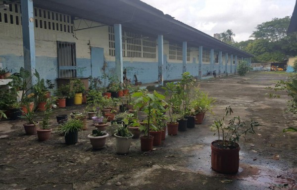 Pabelllón demolido en el centro Rep. de Italia.