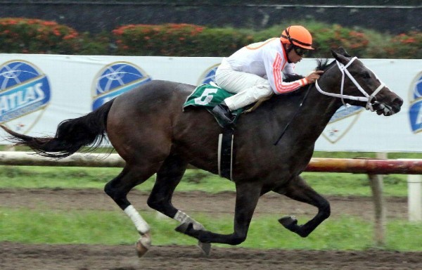 El macho ‘Putink' cronometró 1.07 clavado en su debut.