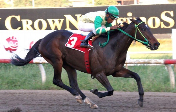 ‘Bellamy V.', con Ángel Rivas, ganando el Clásico Jorge Ameglio, tercero de la triple corona.