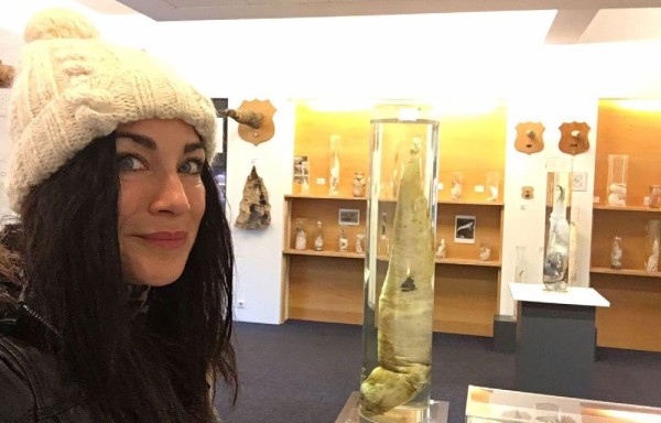 Pero solo uno de los 280 mil penes pertenece a un hombre que mutilaron, ya que los demás son de todos los mamíferos que hay en Islandia.