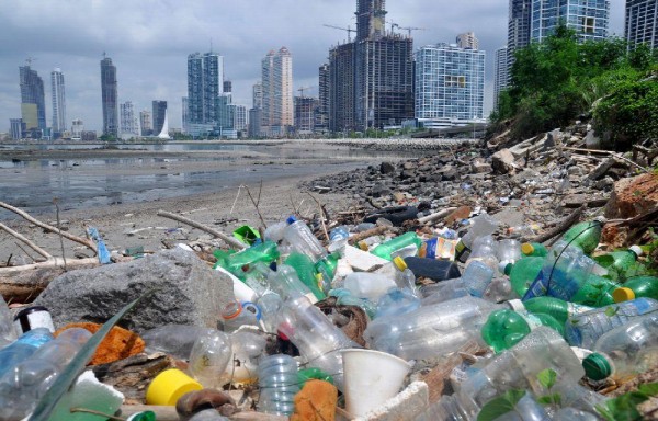 No contamine las playas con botellas o basura, los peces morirán por esto.