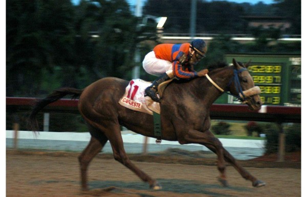 ‘Cafajeste', con Cornelio Velásquez en 2003 en Puerto Rico.