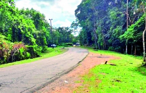 El hecho ocurrió en Kuna Nega, aseguran.